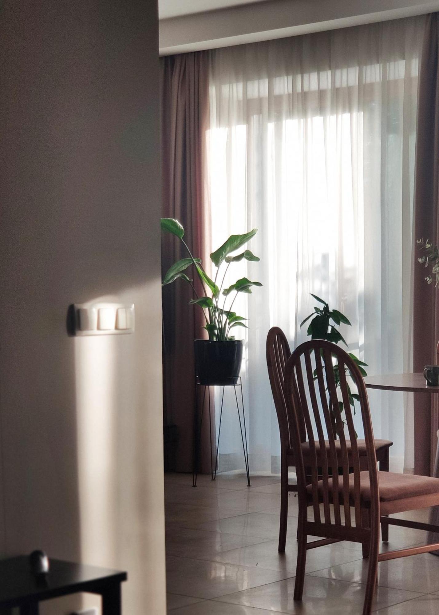 Apartmán Alvar *